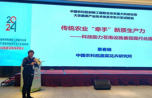 科技賦能，降本增效 中國農科院助力設施番茄產業變革
